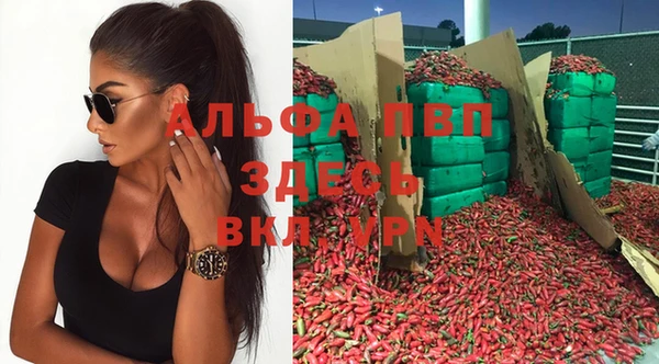 гидра Алзамай