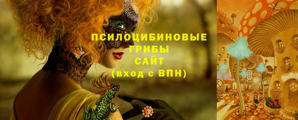 трава Алексин